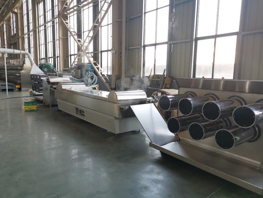 satın al 55kw 6400 Dtex Naylon Ekstruder Makinesi Bahçe Dekorasyonu online manufacture